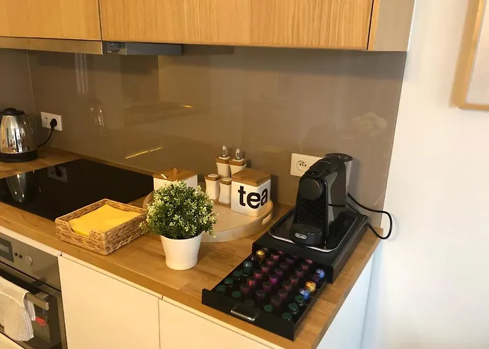 公寓 Browar Lubicz By Atrium *